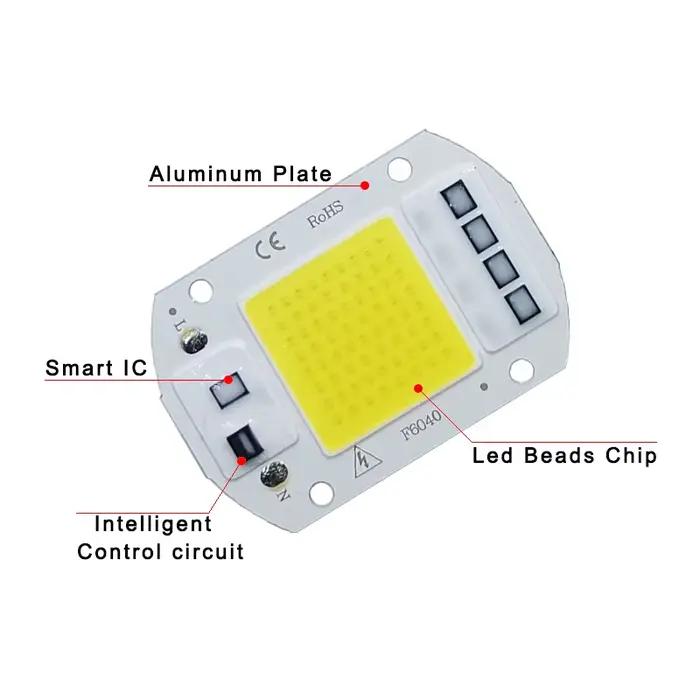 COB lampe à LED puce AC 220V LED ampoule 10W 20W 30W 50W IP65 haute puissance Smart IC bricolage projecteur