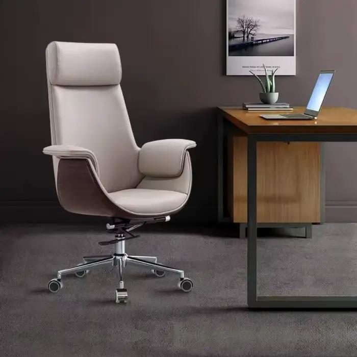 Support arrière chaise De bureau pivotante Disgin appui-tête ordinateur vanité
